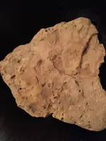ImageUploadedByTreasureNet.com1441326665.130246.webp