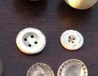 shell button.webp