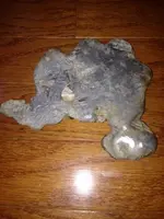Silver2.webp