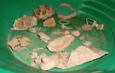 DSCF0011.webp