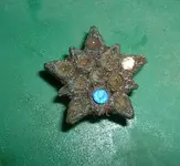 DSCF0004.webp