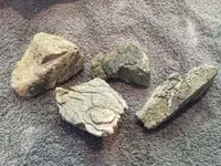 ImageUploadedByTreasureNet.com1444197729.146989.webp