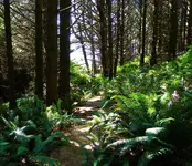 DSCN9034.webp