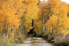 9-28cc.webp