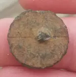 Button - Back (1).webp