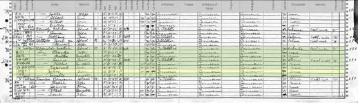 Jack Reynolds 1920 United States Federal Census.webp