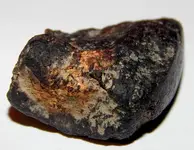 DSCN0772.webp