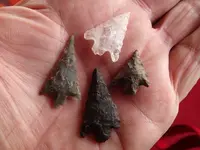 PA052465.webp