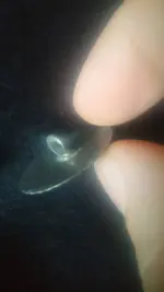 1440448732533.webp