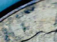 2002 d penny 007.webp