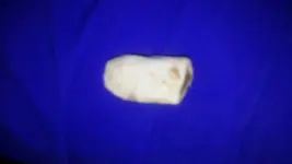 1444241745884.webp