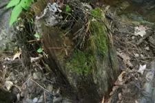 101_0924.webp