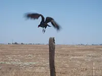DSCF1702.webp