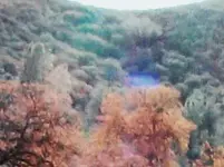 100_8497.webp
