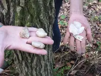 ImageUploadedByTreasureNet.com1444253341.824542.webp