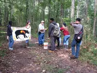 ImageUploadedByTreasureNet.com1444253362.102422.webp