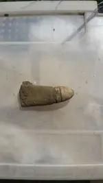 36 caliber.webp