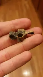 20151013_205139.webp 20151013_205139.webp