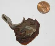 DSCN0972.webp