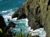 DSCN9081.webp