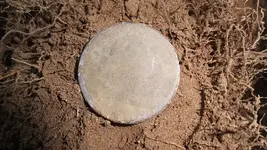 DSCF0099.webp