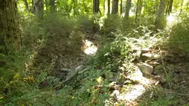 DSCF0101.webp