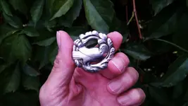 jensen pin 1.webp