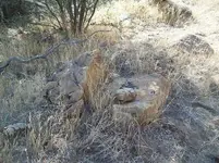 100_8227.webp