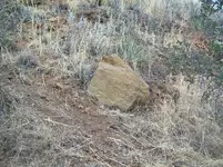 100_8237.webp