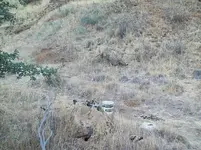 100_8242.webp
