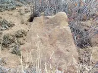 100_8246.webp