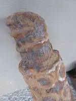steel4.webp