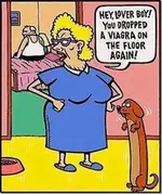 HumorThe5.webp