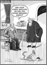 HumorThexz.webp