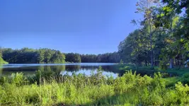 LucasPond_2014.webp