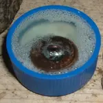 DSCF0001.webp