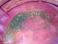 photo (24).webp