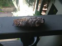 rock2.webp