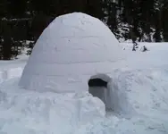 igloocol4.webp