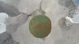 20150913_140146.webp