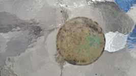 20150913_140126.webp