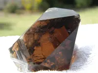 DSCN4642.webp