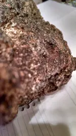 IMG_20150824_203010534_HDR.webp IMG_20150824_203010534_HDR.webp