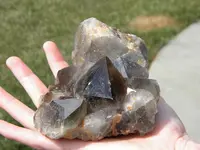 DSCN4696.webp
