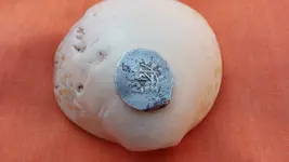20150903_165802.webp