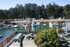 fb108.webp