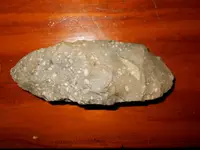 DSCN0311.webp