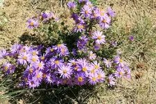 9-23cc.webp