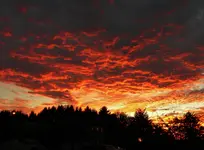 DSCN9324.webp