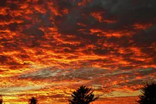 DSCN9320.webp